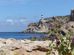 FZ027775 Flowers and lighthouse.jpg